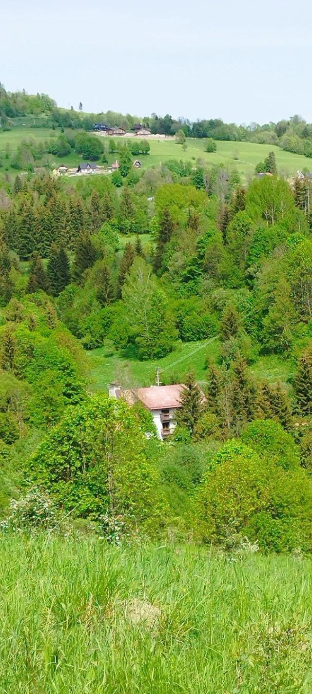 Penzion Zazrifka Zázrivá Buitenkant foto