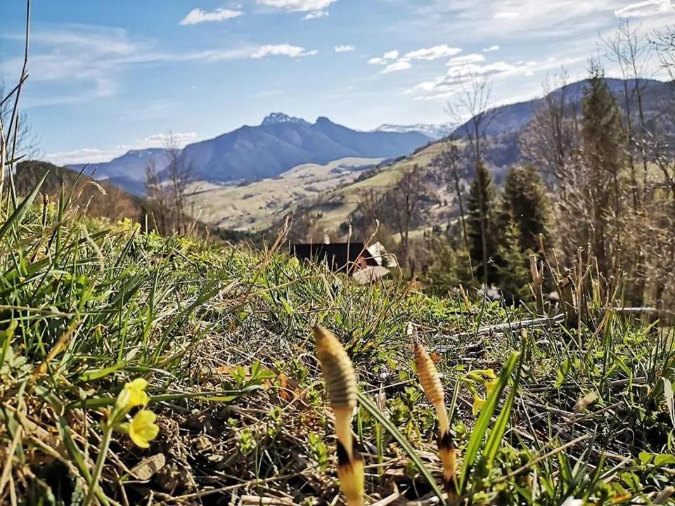 Penzion Zazrifka Zázrivá Buitenkant foto