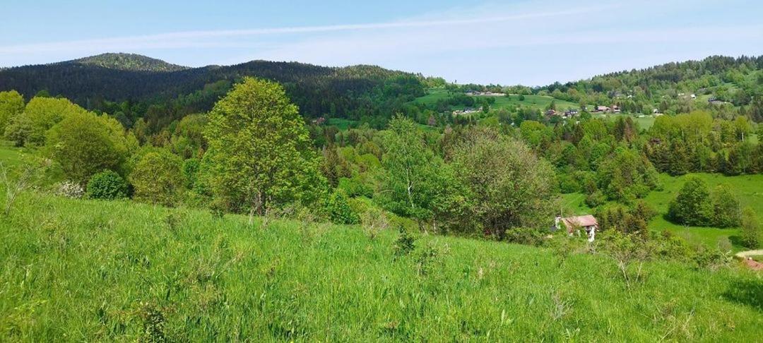 Penzion Zazrifka Zázrivá Buitenkant foto