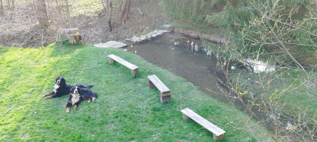 Penzion Zazrifka Zázrivá Buitenkant foto